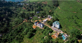 Nest Mountain Munnar